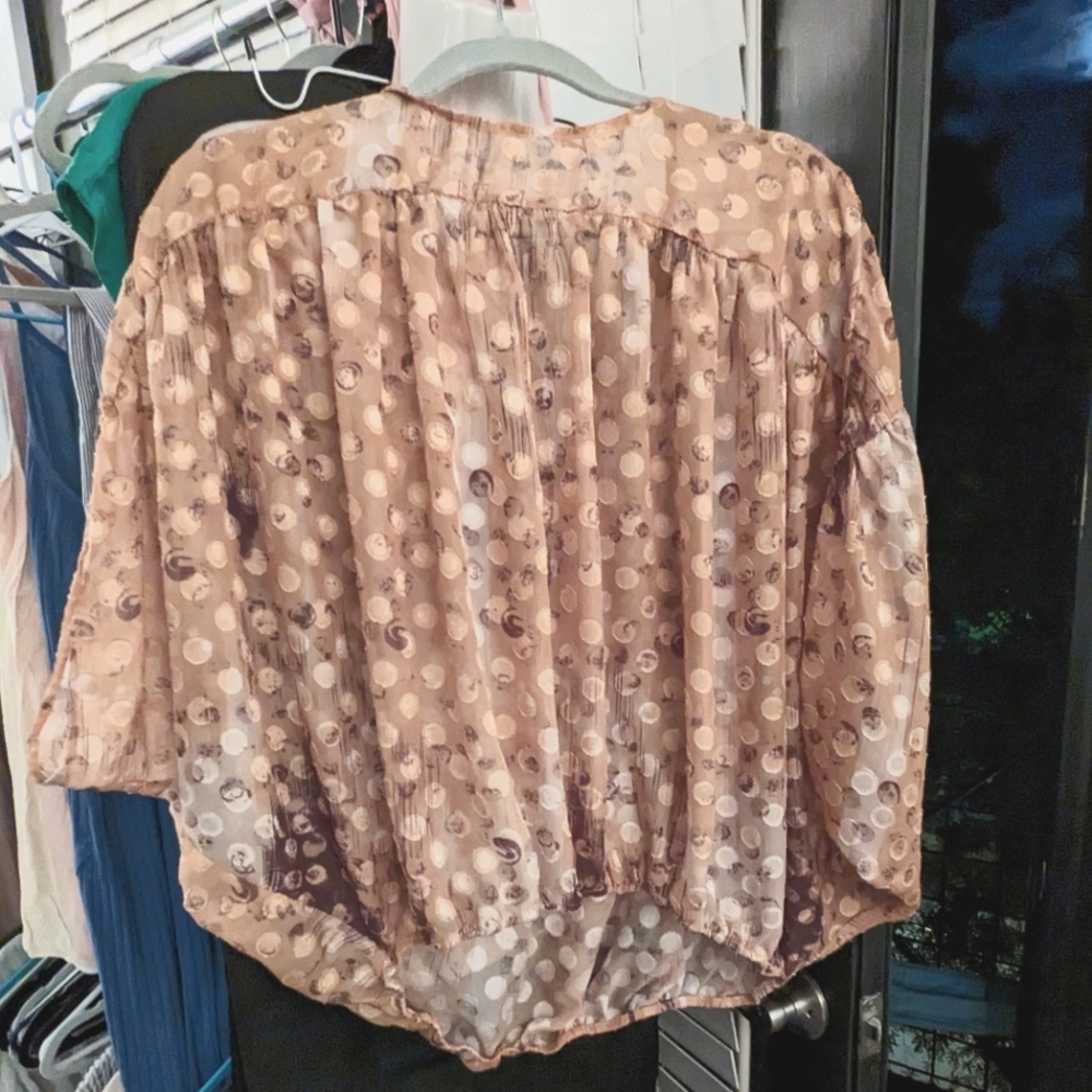 sheer blouse